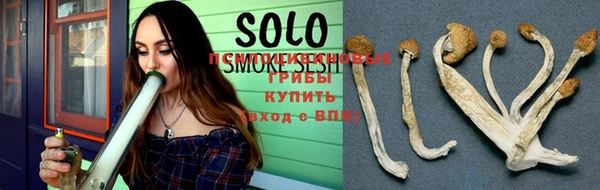 кокс Аркадак