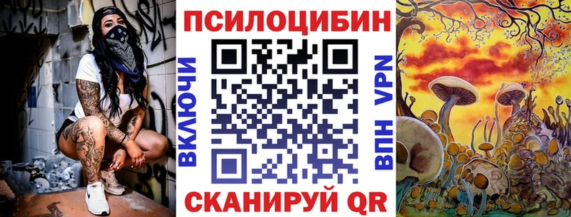Галлюциногенные грибы Psilocybine cubensis  дарнет шоп  Большой Камень 